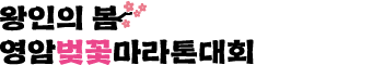 왕인의 봄, 영암벚꽃마라톤대회